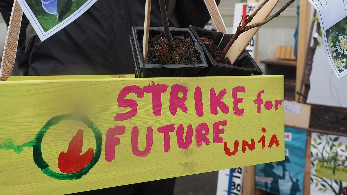 Ein gelb gestrichenes Holzschild mit der Aufschrift «Strike for Future Unia» steht vor Pflanzentöpfen und verweist auf eine Aktion der Gewerkschaft Unia im Rahmen des Klimastreiks.